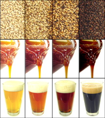 Malt extract