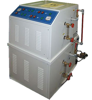 Electrical steam generator