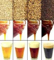 Breworx Lite-ME 600 breweries allows production beer from malt concentrates