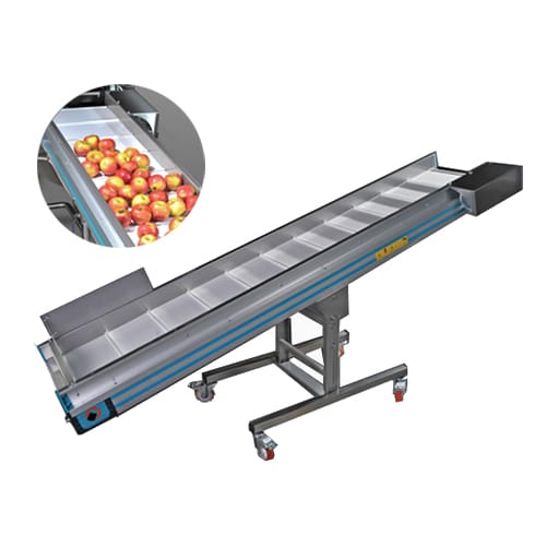 Fruit sorting conveyors